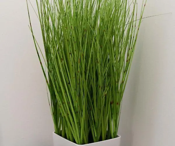 Holiday home Nowell House